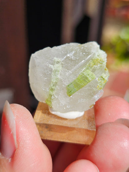 Tourmaline verte sur Quartz T8
