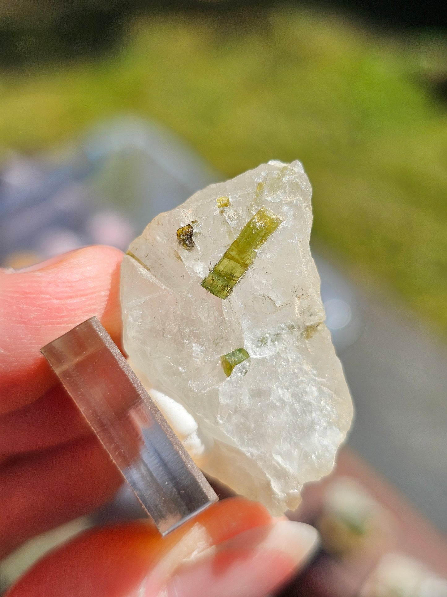 Tourmaline verte sur Quartz T10