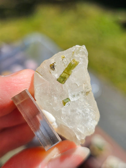 Tourmaline verte sur Quartz T10