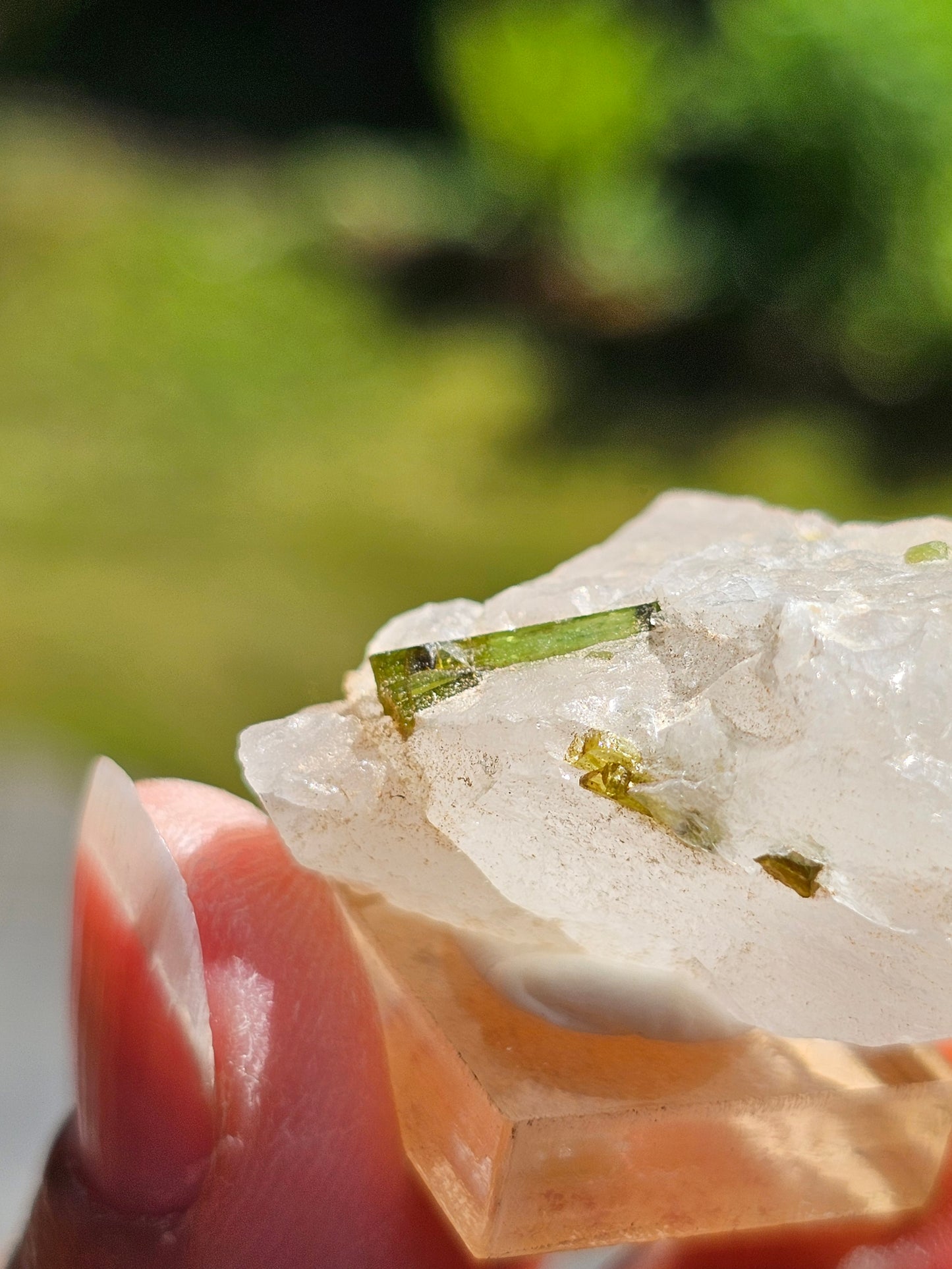 Tourmaline verte sur Quartz T10