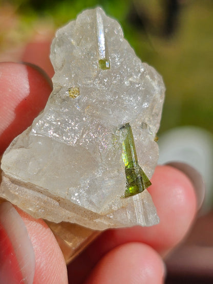 Tourmaline verte sur Quartz T10