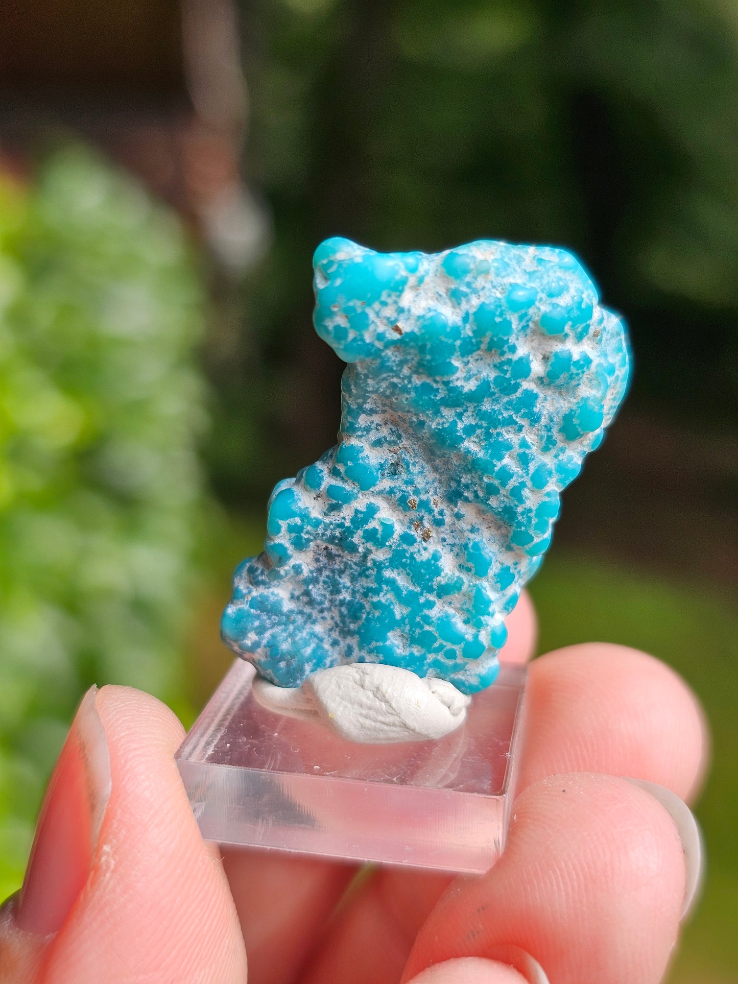 Turquoise d'Arizona n°2