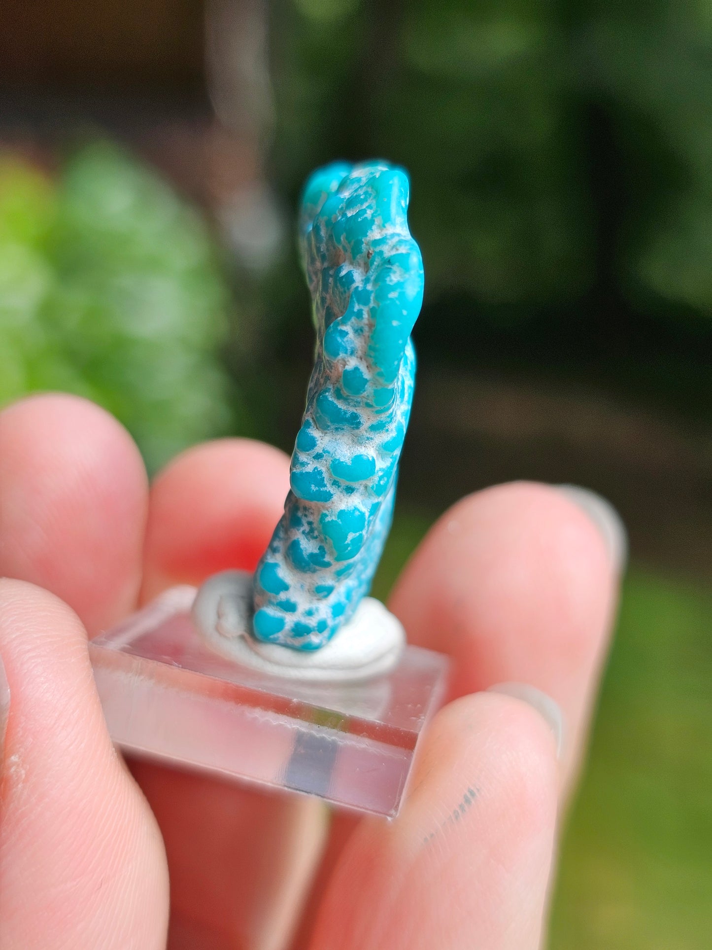 Turquoise d'Arizona n°2