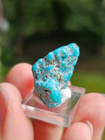 Turquoise d'Arizona n°3
