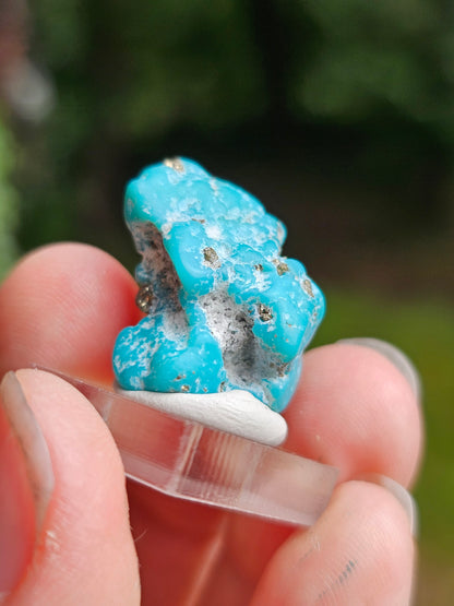Turquoise d'Arizona n°3