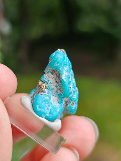 Turquoise d'Arizona n°3