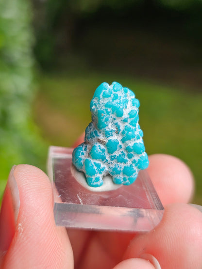 Turquoise d'Arizona n°4