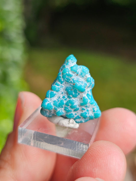 Turquoise d'Arizona n°4