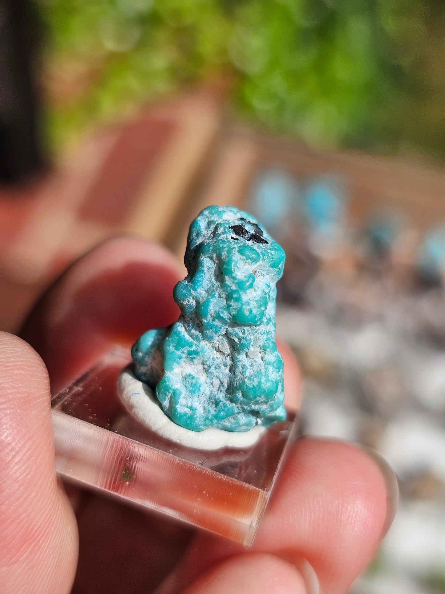 Turquoise d'Arizona n°5