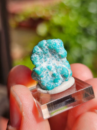 Turquoise d'Arizona n°5