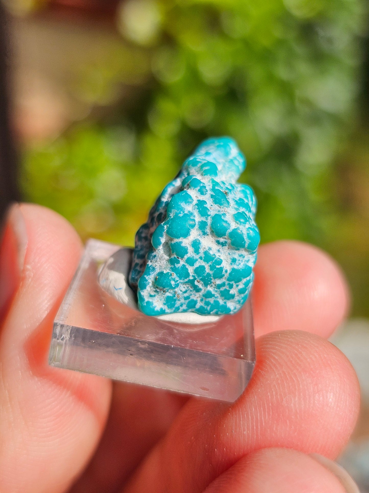 Turquoise d'Arizona n°6