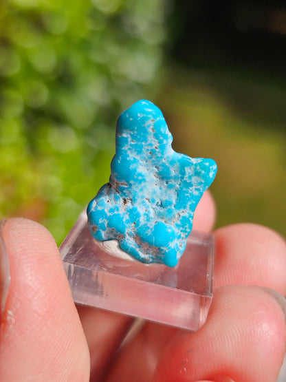 Turquoise d'Arizona n°7