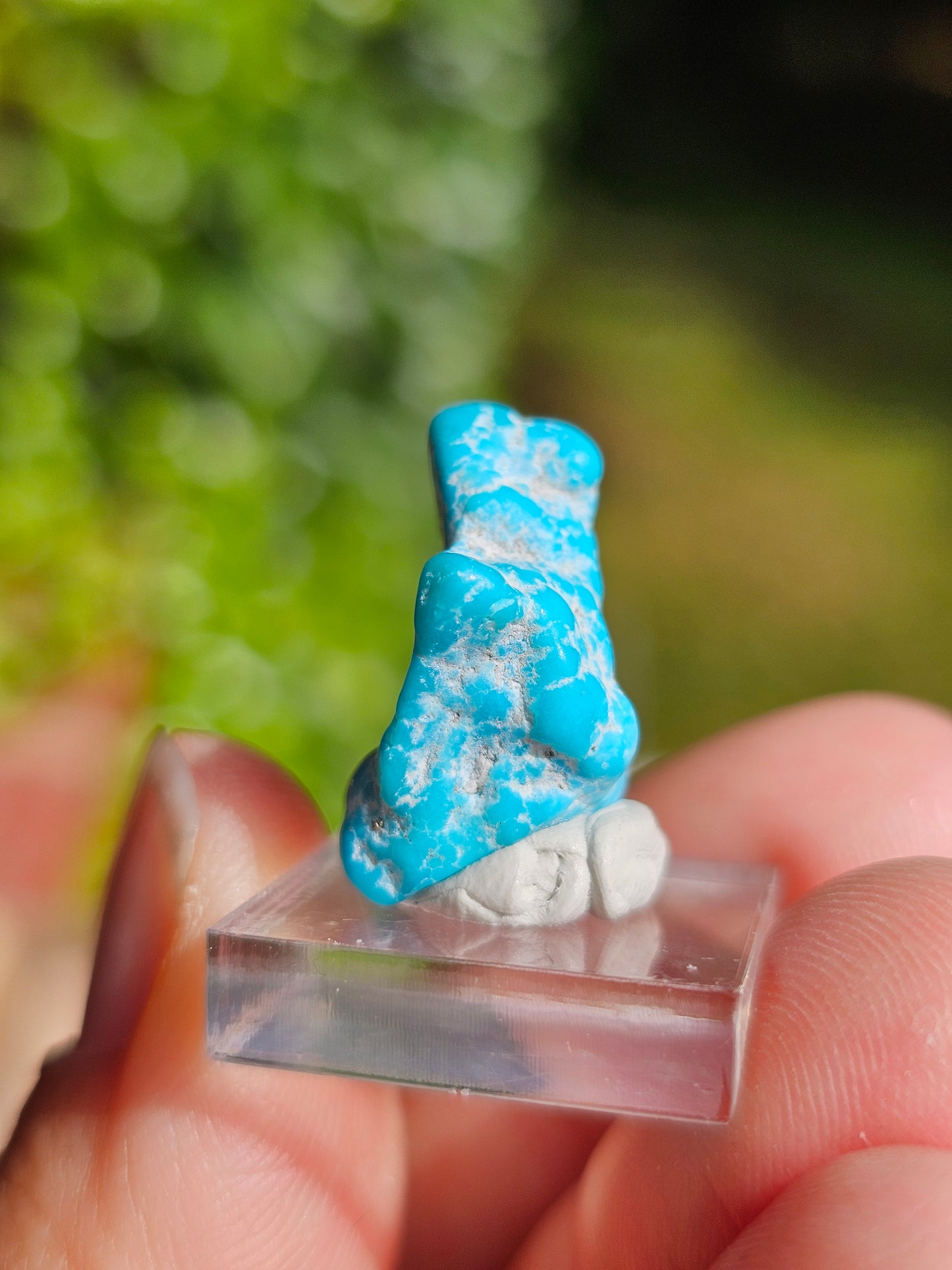 Turquoise d'Arizona n°7