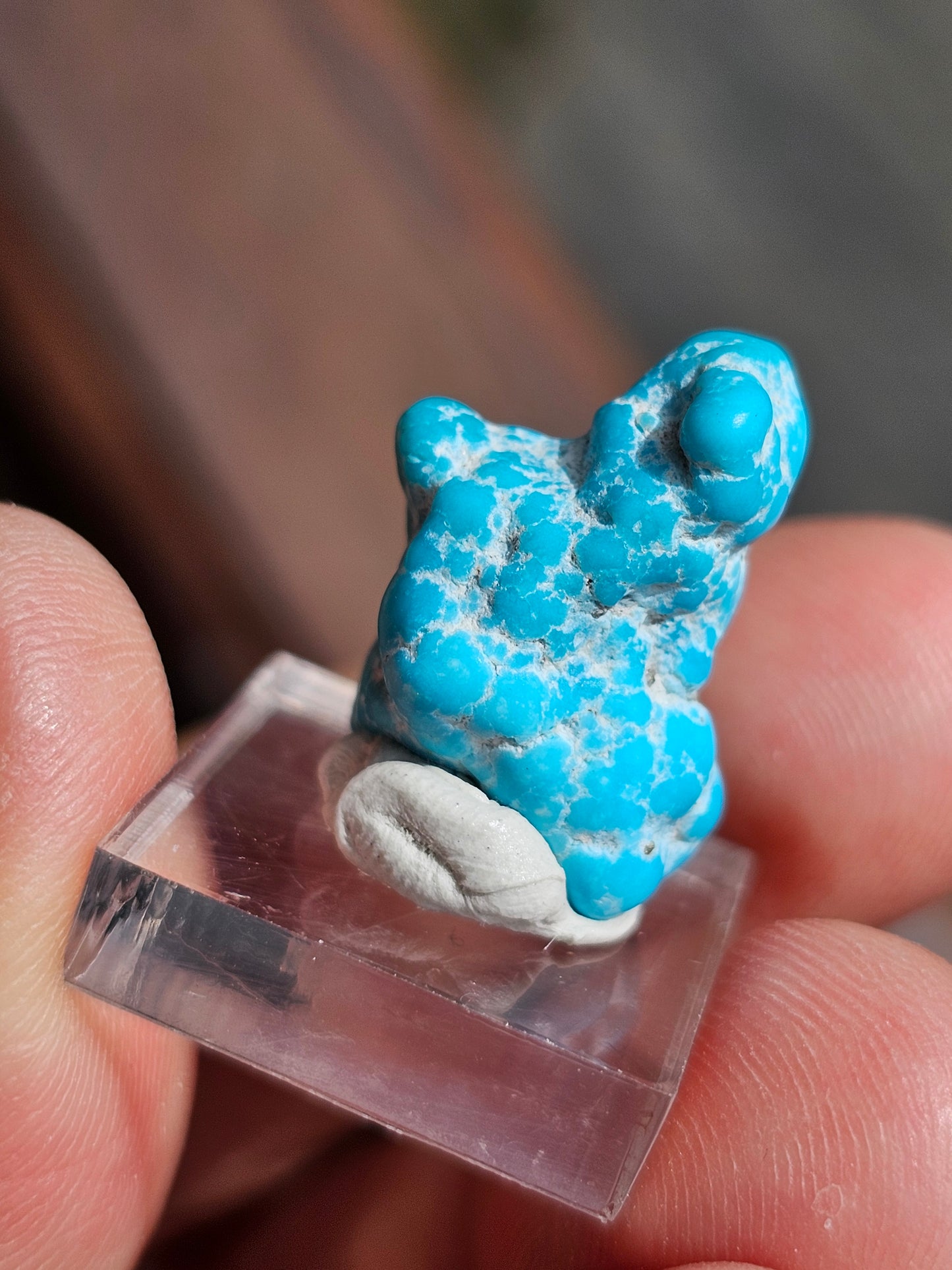 Turquoise d'Arizona n°7
