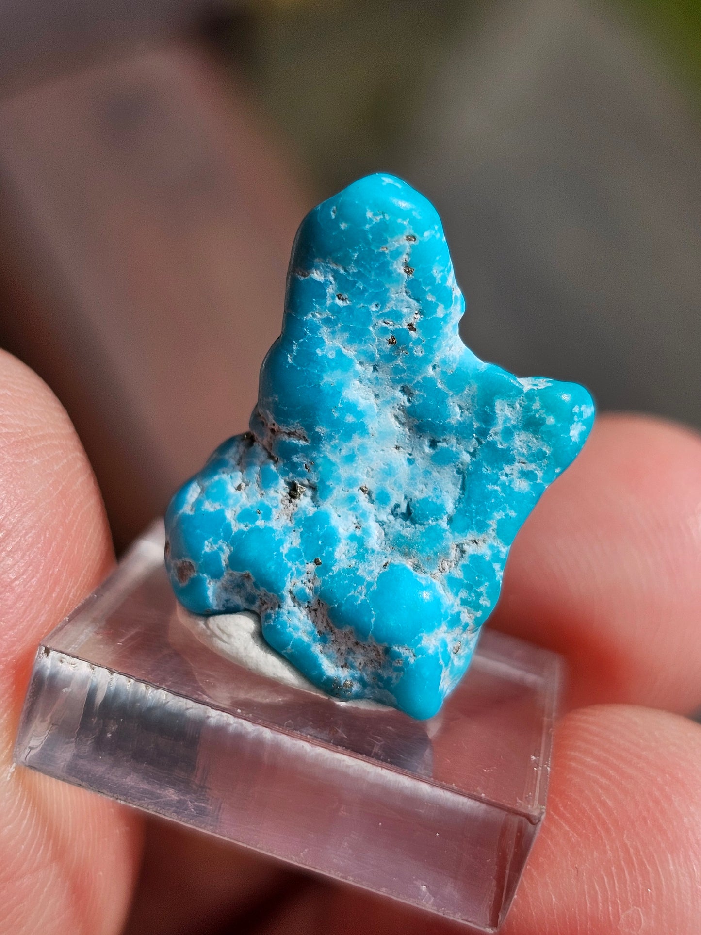 Turquoise d'Arizona n°7