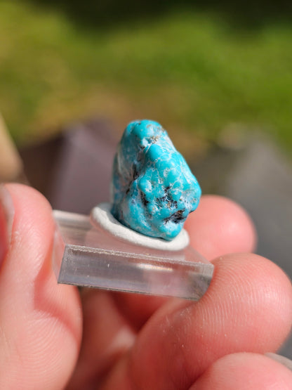 Turquoise d'Arizona n°9