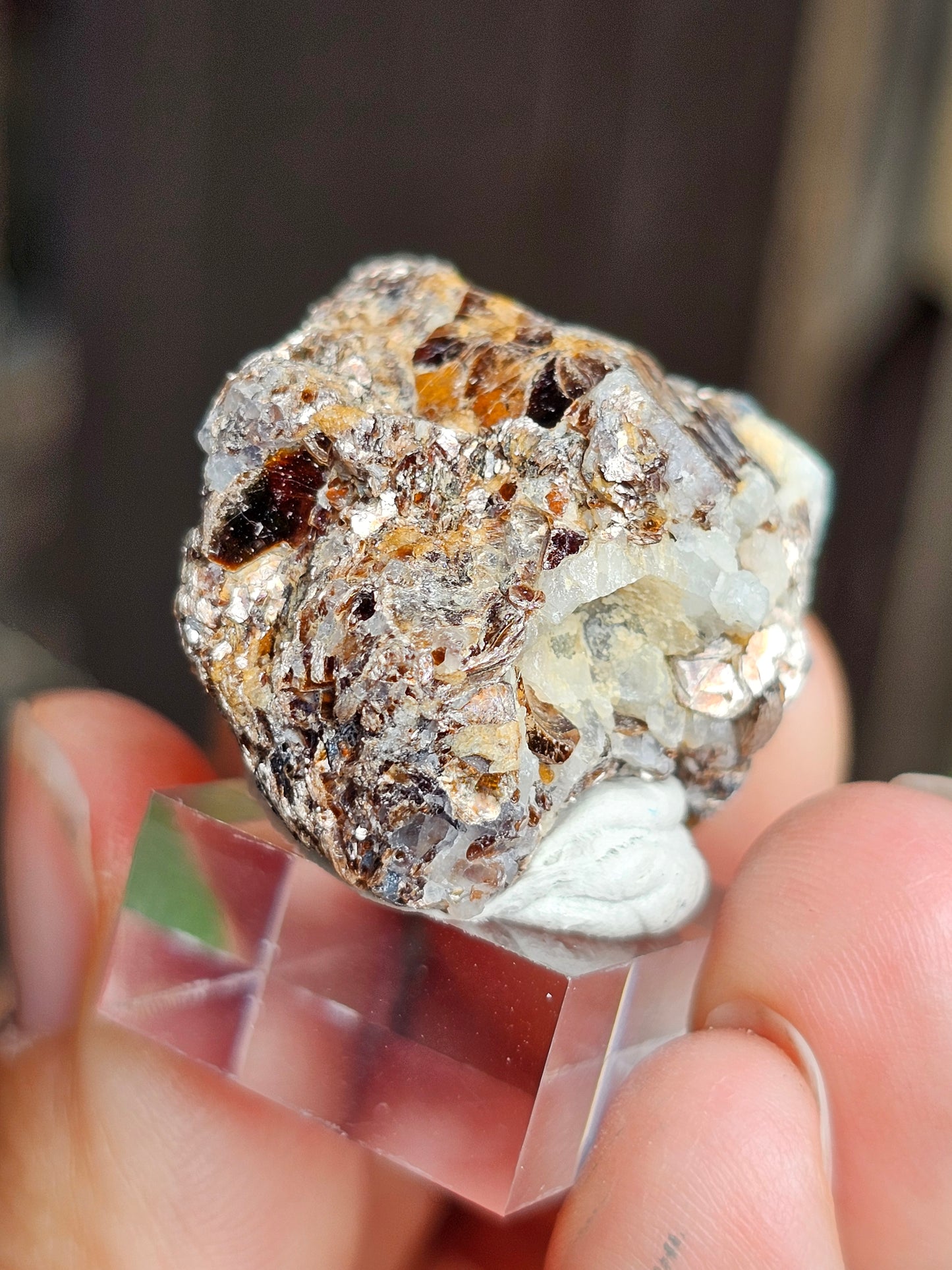 Sapphirine de Madagascar A