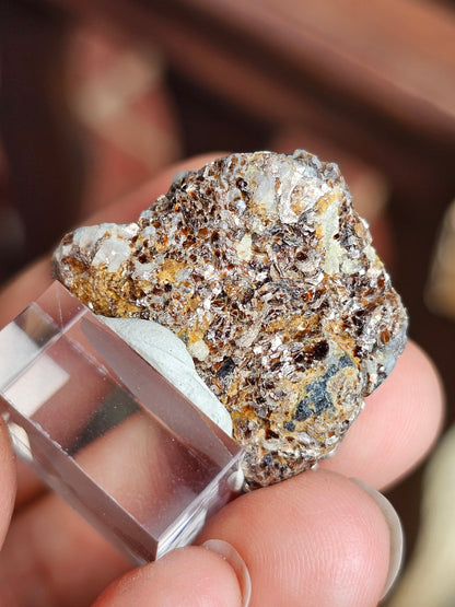 Sapphirine de Madagascar A