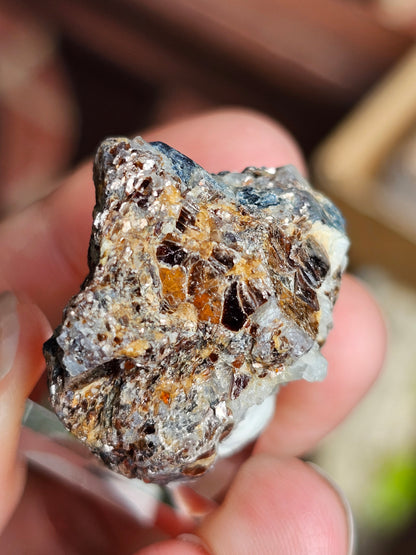 Sapphirine de Madagascar A