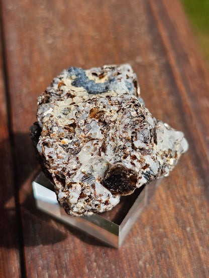 Sapphirine de Madagascar C
