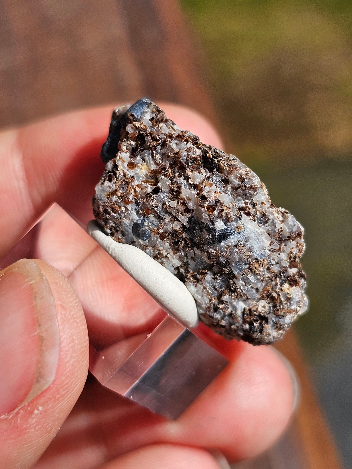 Sapphirine de Madagascar C