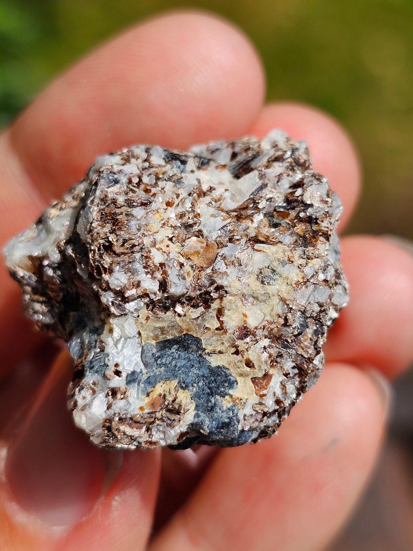 Sapphirine de Madagascar C