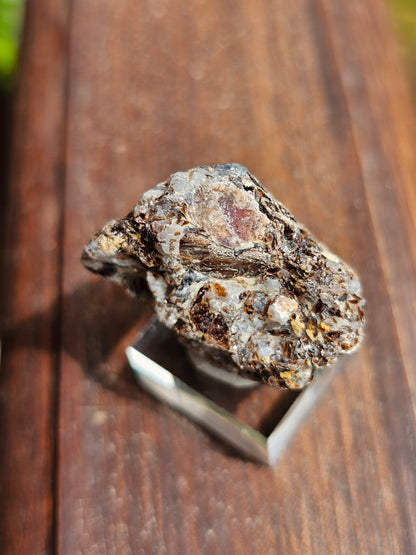 Sapphirine de Madagascar D