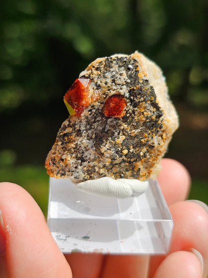 Zircon rouge du Pakistan n°5