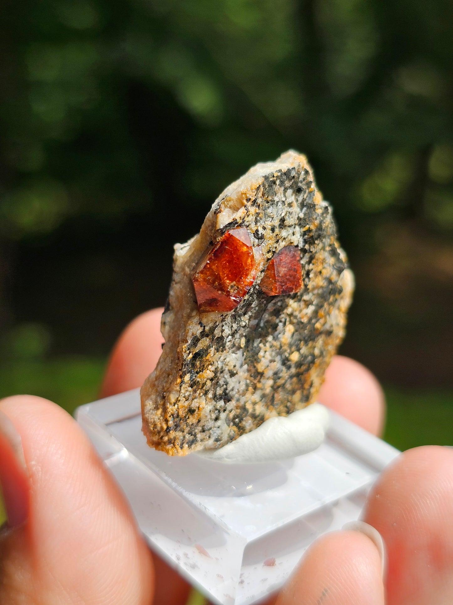 Zircon rouge du Pakistan n°5