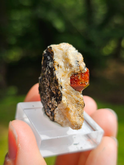 Zircon rouge du Pakistan n°5