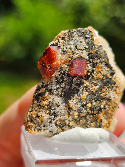 Zircon rouge du Pakistan n°5