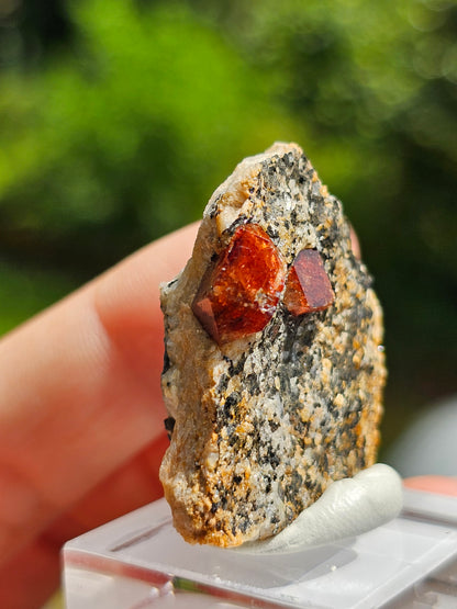 Zircon rouge du Pakistan n°5