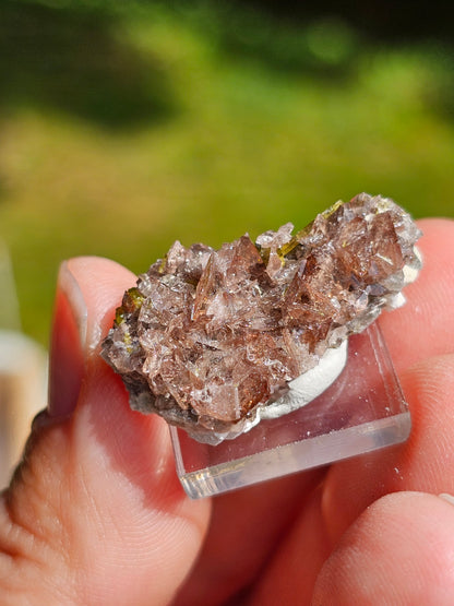 Axinite et Epidote du Pakistan n°2