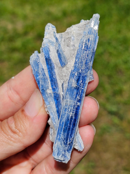 Cyanite bleue brute B