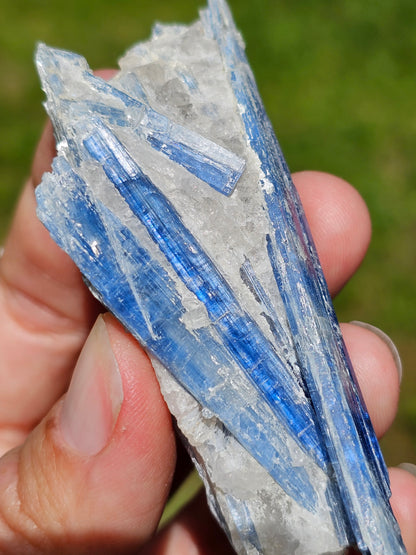 Cyanite bleue brute B