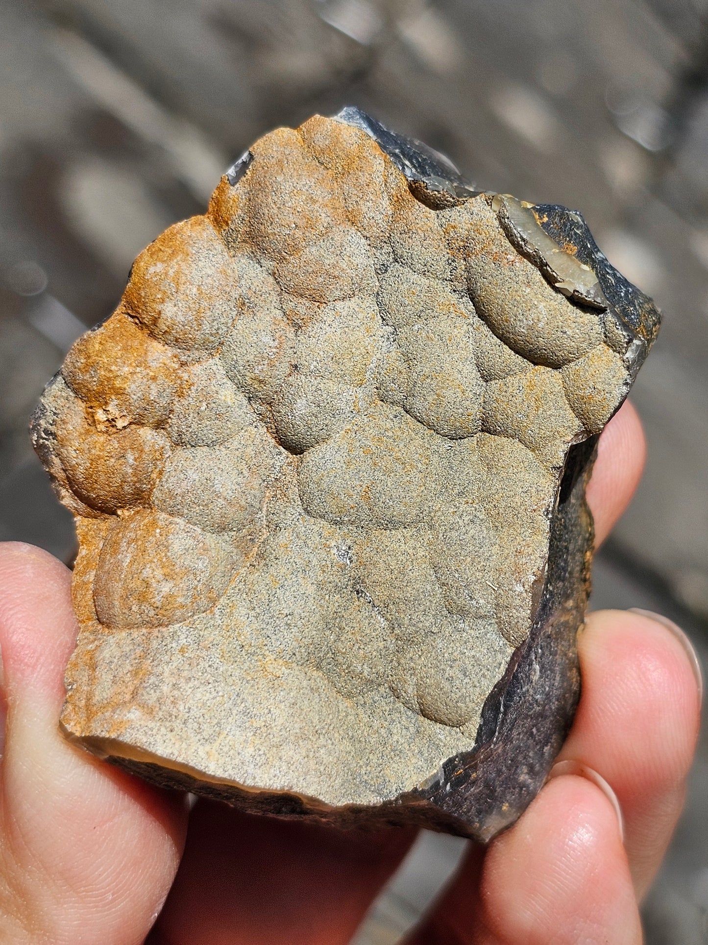 Agate volcan brute (à choisir)