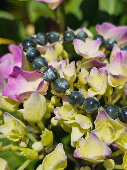 Bracelet Séraphinite et Péridot
