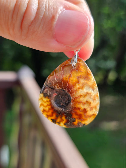 Pendentif Ammonite I