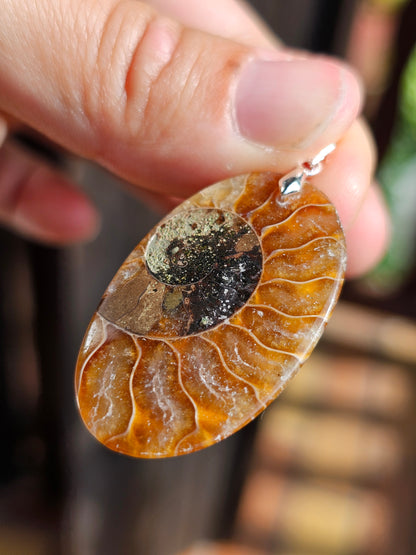 Pendentif Ammonite A