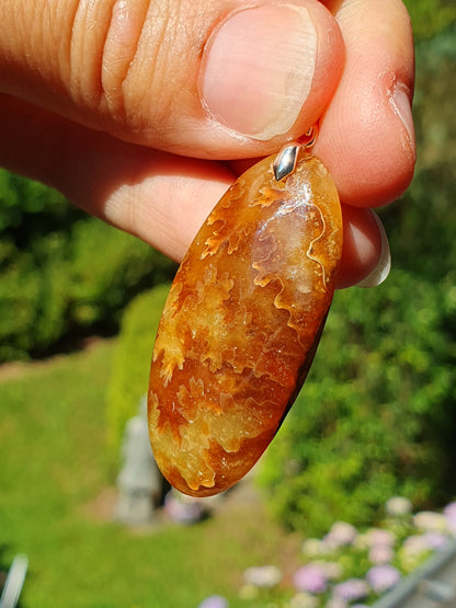 Pendentif Ammonite P