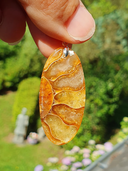 Pendentif Ammonite P