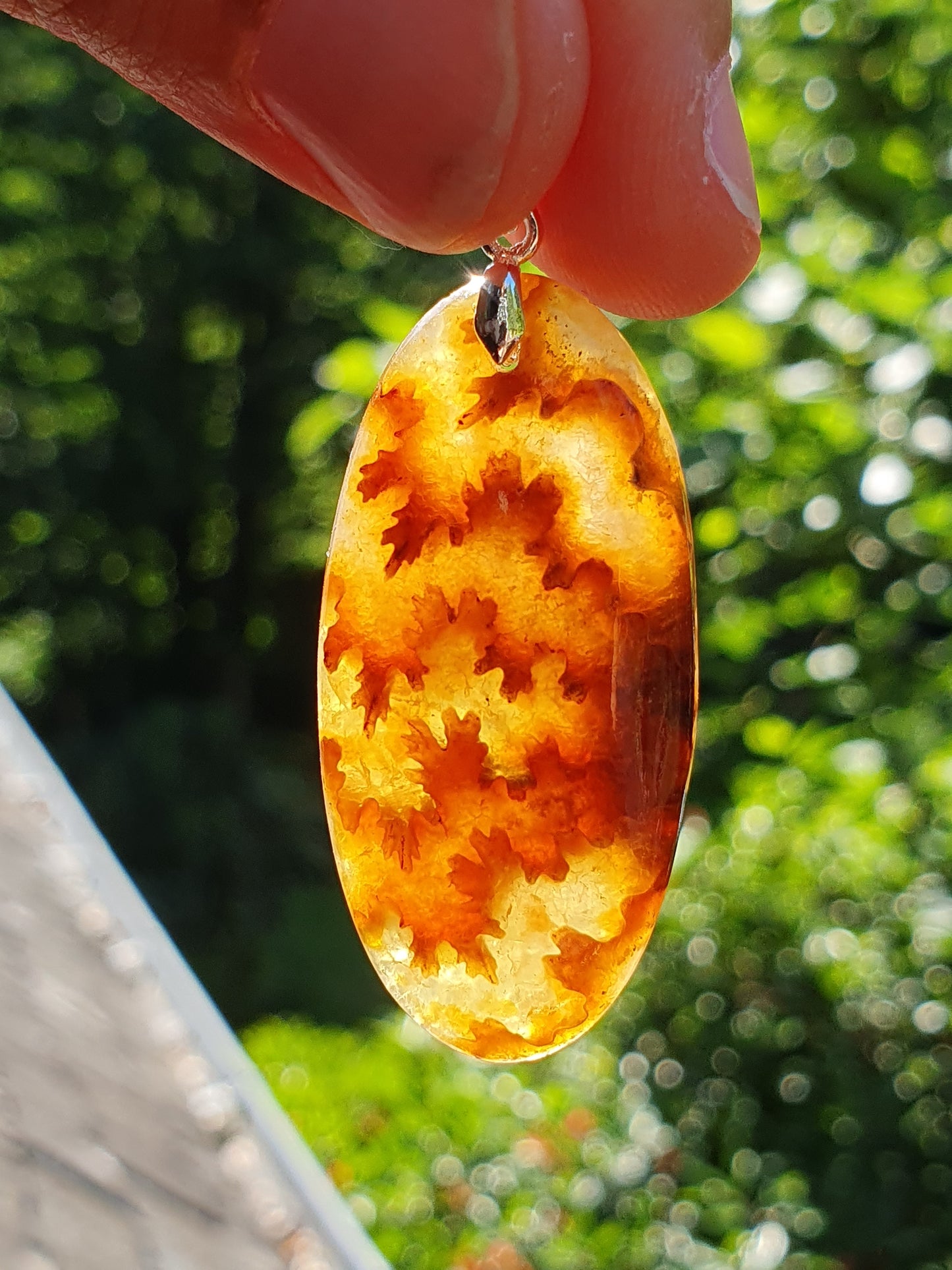 Pendentif Ammonite P