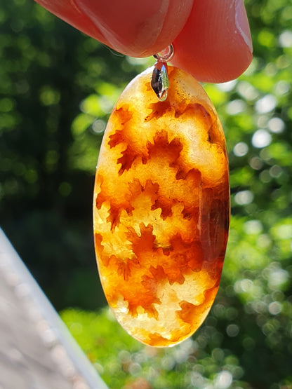 Pendentif Ammonite P