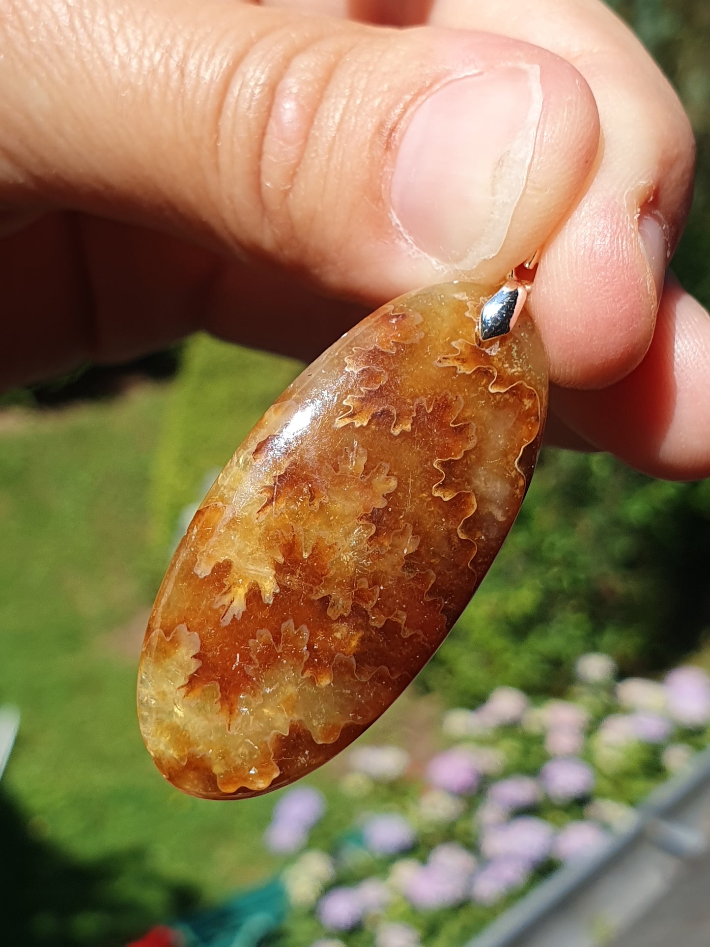 Pendentif Ammonite P