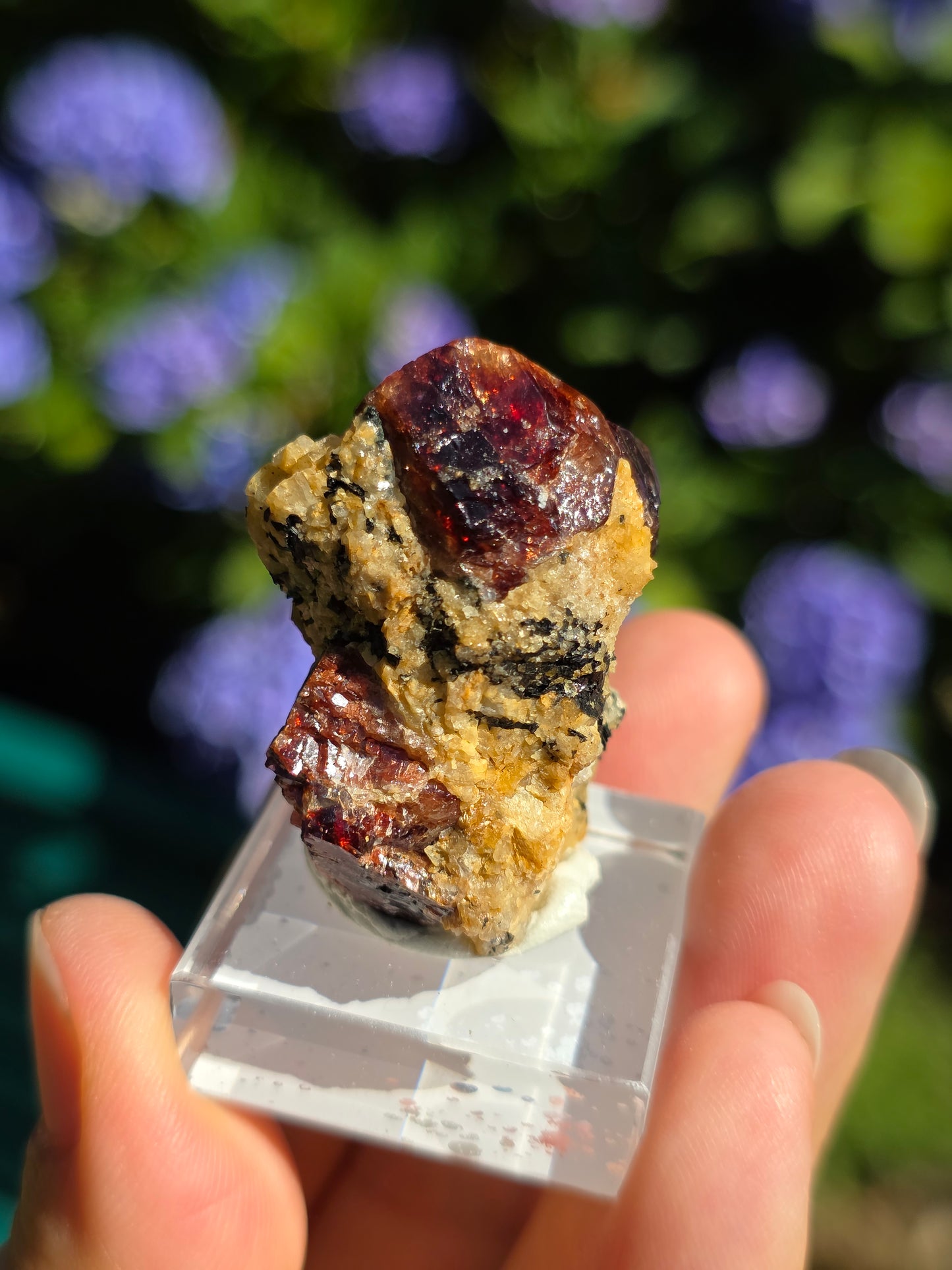 Zircon rouge du Pakistan C