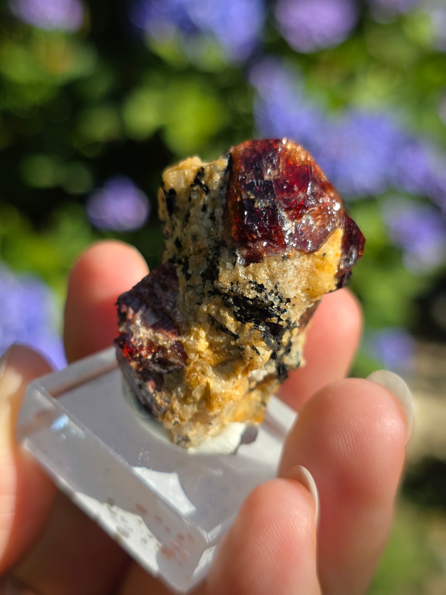 Zircon rouge du Pakistan C