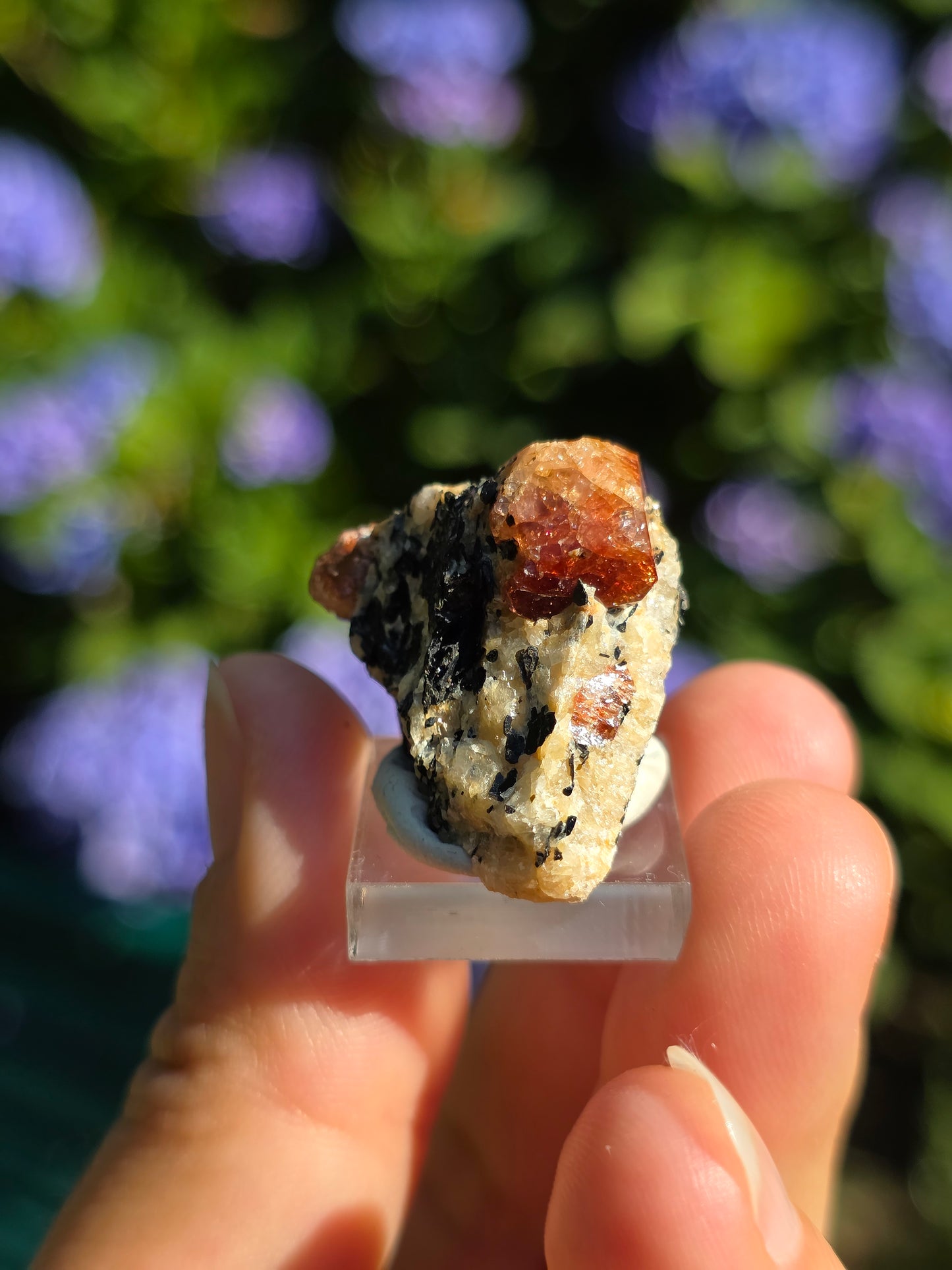 Zircon rouge du Pakistan D