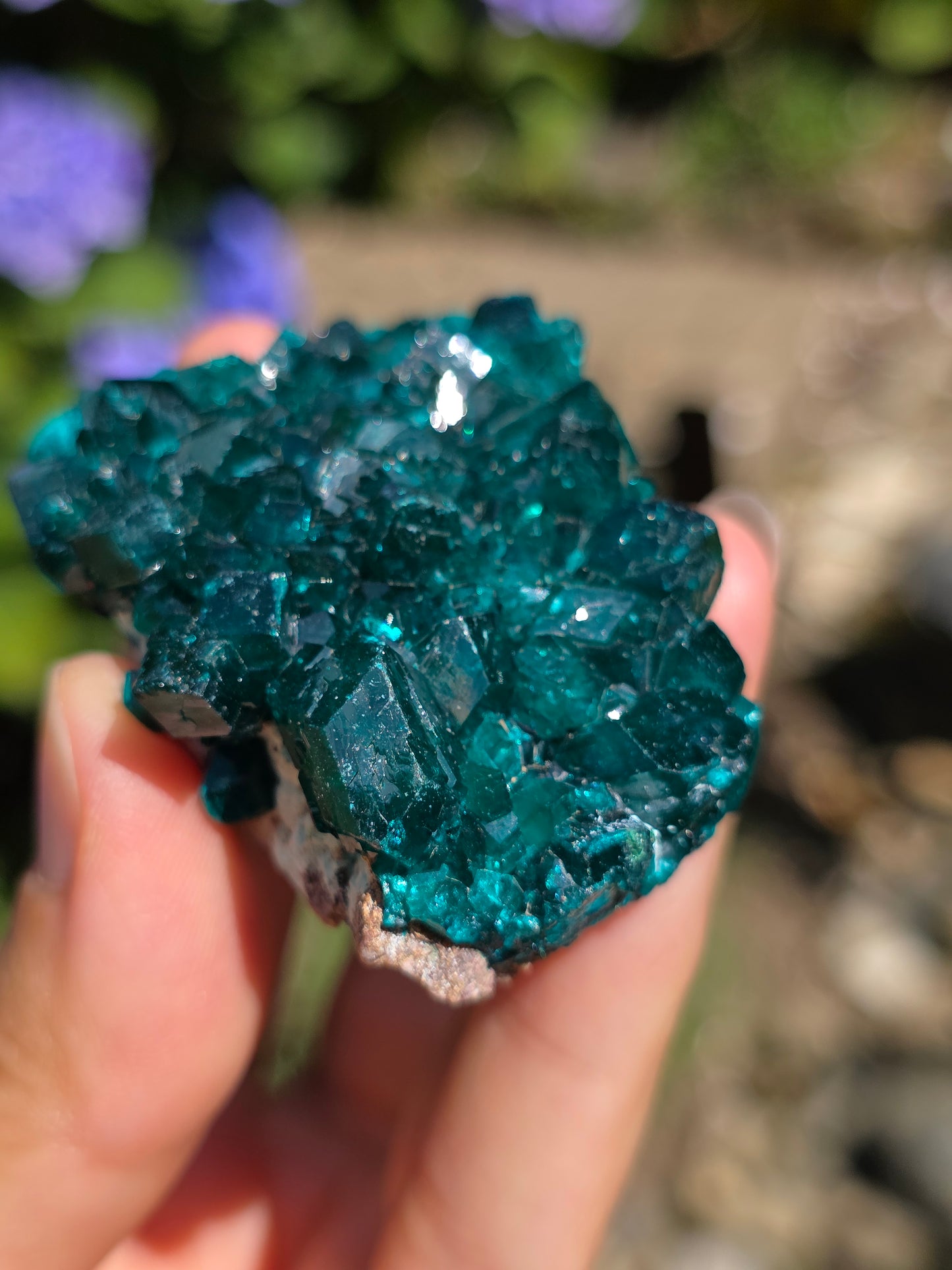 Dioptase cristallisée du Congo n°11