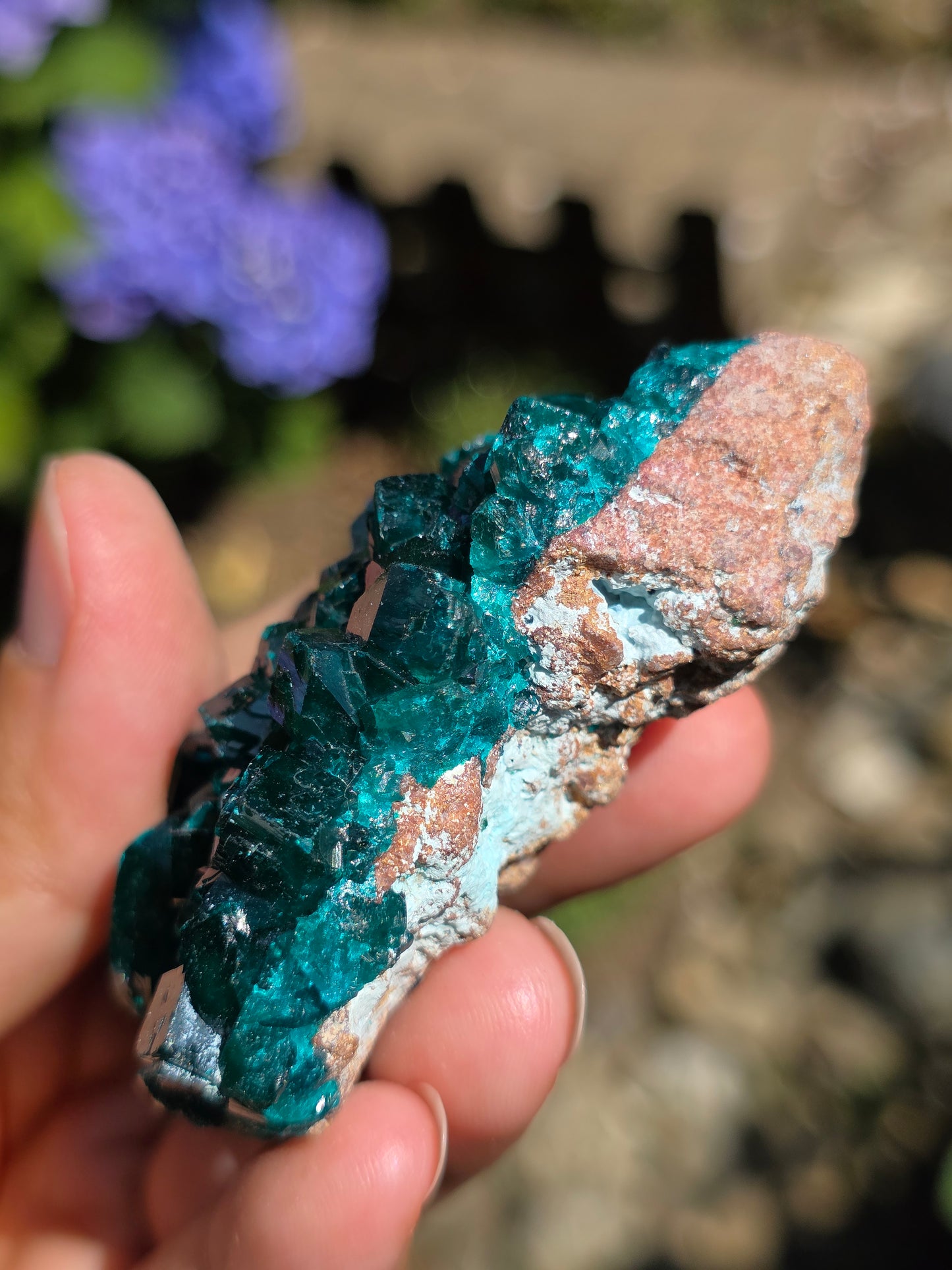 Dioptase cristallisée du Congo n°11