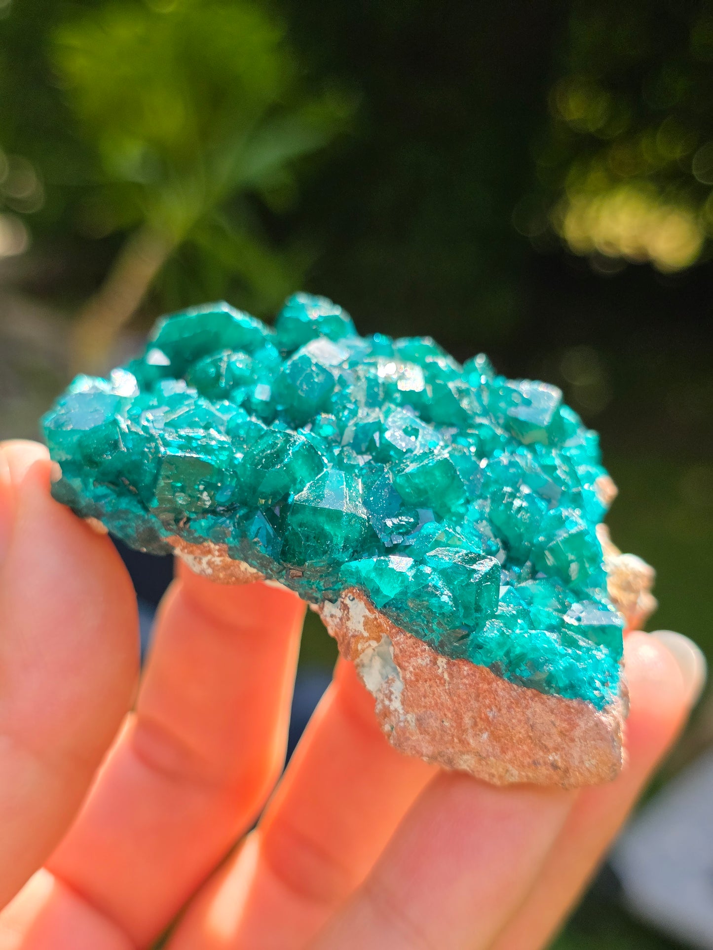 Dioptase cristallisée du Congo n°11